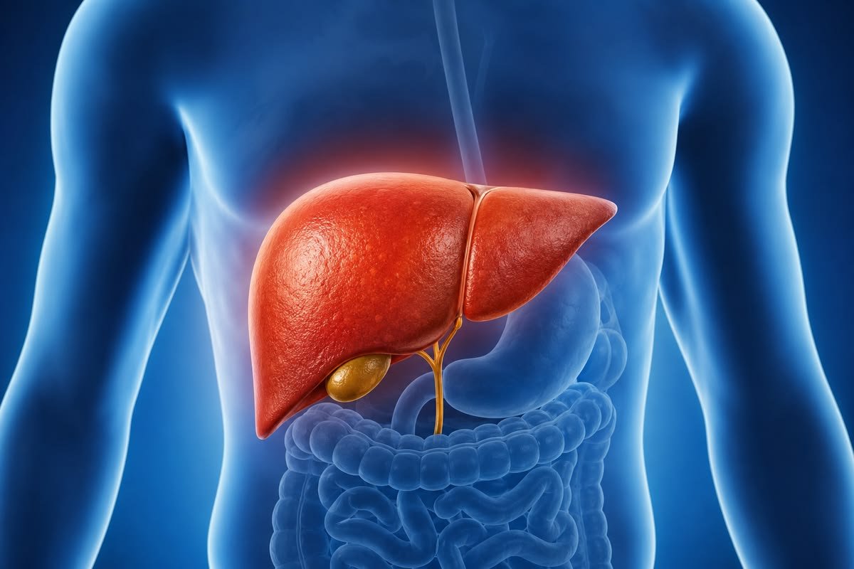 Liver Diseases, Fatty Liver & Jaundice